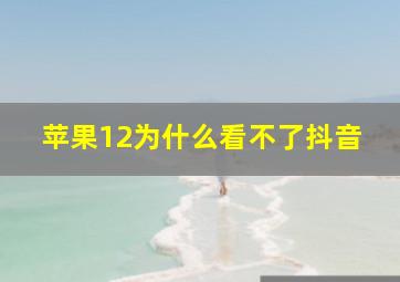 苹果12为什么看不了抖音