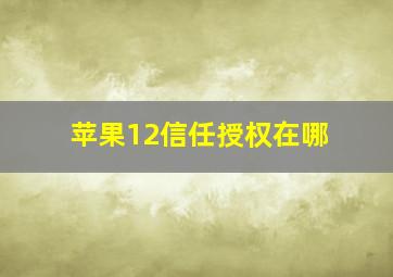 苹果12信任授权在哪