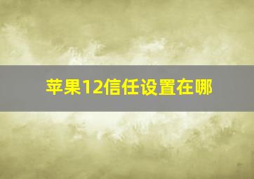 苹果12信任设置在哪