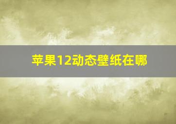 苹果12动态壁纸在哪