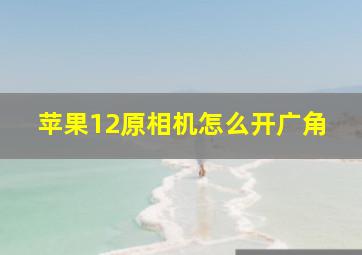 苹果12原相机怎么开广角