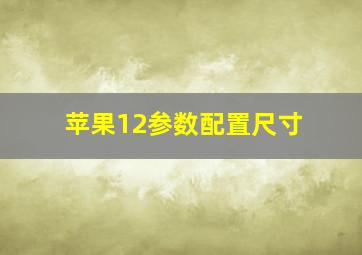 苹果12参数配置尺寸