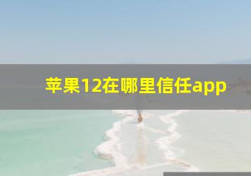 苹果12在哪里信任app