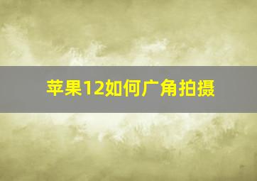 苹果12如何广角拍摄