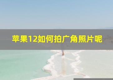 苹果12如何拍广角照片呢