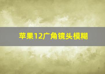 苹果12广角镜头模糊