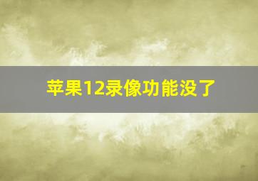 苹果12录像功能没了