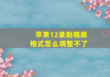 苹果12录制视频格式怎么调整不了