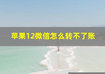 苹果12微信怎么转不了账