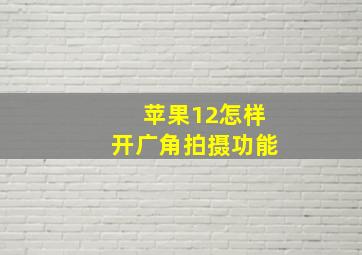 苹果12怎样开广角拍摄功能