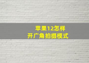 苹果12怎样开广角拍摄模式