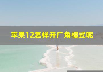 苹果12怎样开广角模式呢