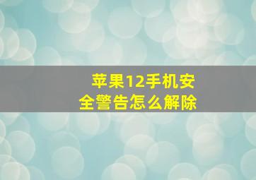 苹果12手机安全警告怎么解除