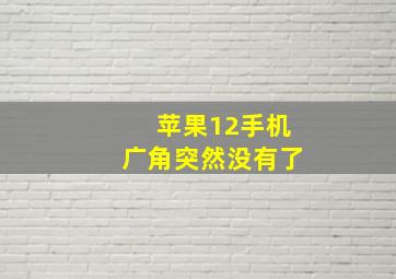 苹果12手机广角突然没有了