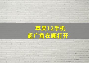 苹果12手机超广角在哪打开