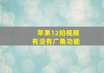 苹果12拍视频有没有广角功能