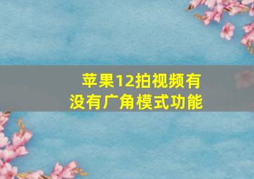 苹果12拍视频有没有广角模式功能