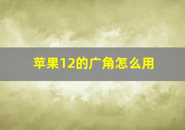 苹果12的广角怎么用