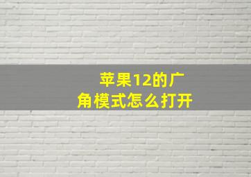 苹果12的广角模式怎么打开