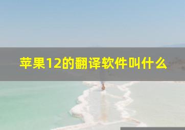 苹果12的翻译软件叫什么