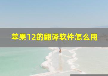 苹果12的翻译软件怎么用