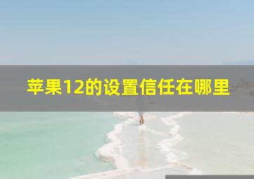 苹果12的设置信任在哪里