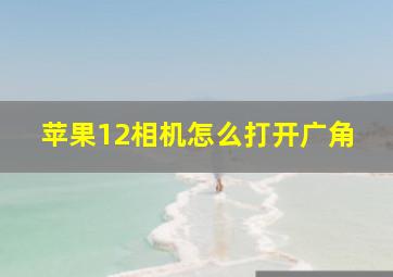 苹果12相机怎么打开广角