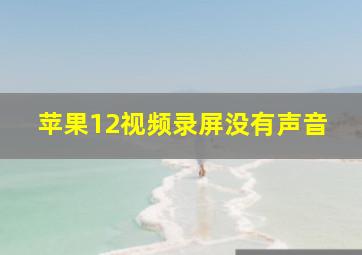 苹果12视频录屏没有声音