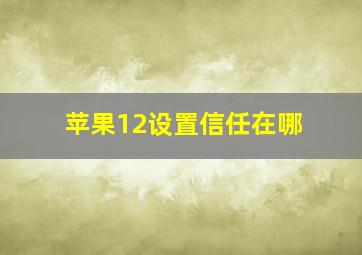 苹果12设置信任在哪