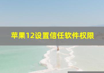 苹果12设置信任软件权限