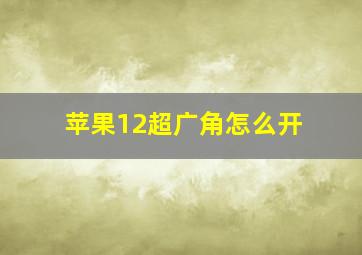 苹果12超广角怎么开