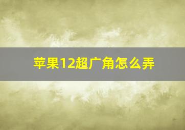 苹果12超广角怎么弄