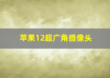 苹果12超广角摄像头