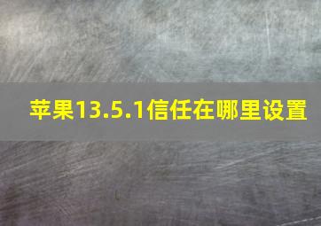 苹果13.5.1信任在哪里设置