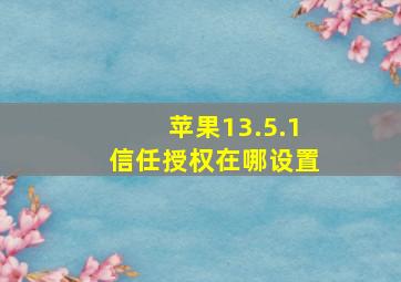 苹果13.5.1信任授权在哪设置