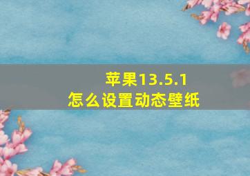 苹果13.5.1怎么设置动态壁纸