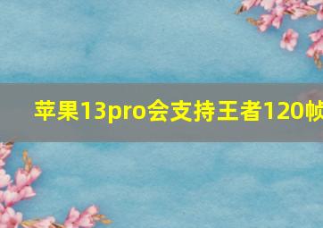 苹果13pro会支持王者120帧