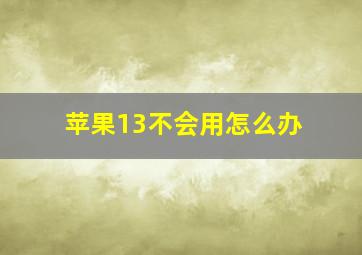 苹果13不会用怎么办