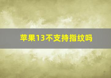 苹果13不支持指纹吗