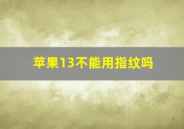 苹果13不能用指纹吗