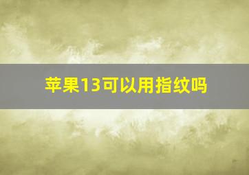 苹果13可以用指纹吗