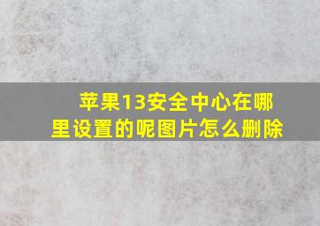 苹果13安全中心在哪里设置的呢图片怎么删除