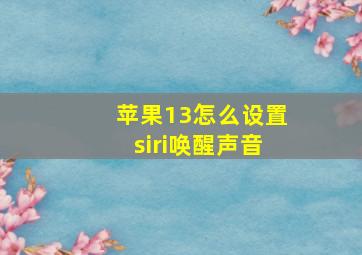 苹果13怎么设置siri唤醒声音