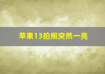 苹果13拍照突然一亮