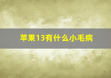 苹果13有什么小毛病