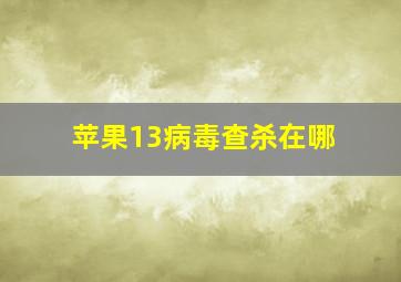 苹果13病毒查杀在哪