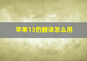 苹果13的翻译怎么用