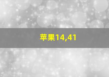 苹果14,41