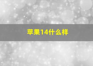 苹果14什么样