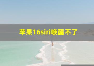 苹果16siri唤醒不了